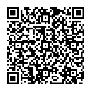 又相当的耐打……这也是扎克可以从那凶残至极的黑拳赛场上活着走出来的主要依靠之一二维码生成