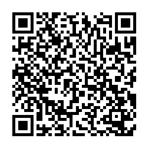又能远程掌控全局姿态为我提供当年盗宝之人徒弟讯息助我完成闽侯王任务二维码生成