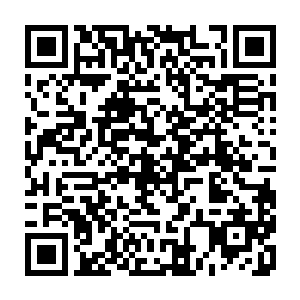 又要求苏文口头承诺如果别的公司开的条件没有比他们公司优越很多的话二维码生成