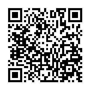 又见老头嚼草的时候面上的表情似乎带着一种压抑的痛苦二维码生成