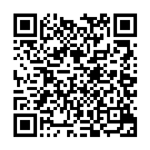 又让一群下属紧锣密鼓地张罗接下来的时装周任务二维码生成