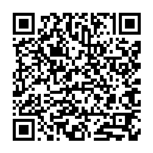 又长又白的两条腿之间看到的不是传说中的水草肥美而是一片光滑白嫩二维码生成