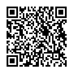 双头裂体兽只要没得到出击的命令便改为缠在江帆的胳膊上二维码生成