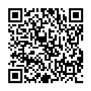 双峰这起案件也算是昌江誓革开放以来首屈一指的大案了二维码生成