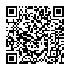 双手都不敢使劲挥舞生怕干扰了安德里斯的手劲二维码生成