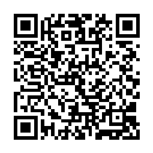 双方在龙果的问题上已经进行过了无数次的交流二维码生成