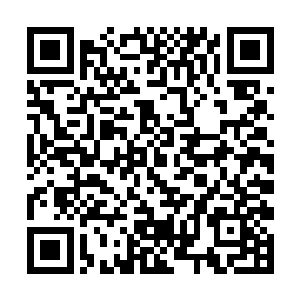 双眼始终没有离开那原本紧握的双手缓缓松开的小蝶二维码生成