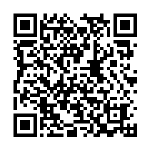 反倒是一些真正的天才就因为出身低而得到了冷漠二维码生成