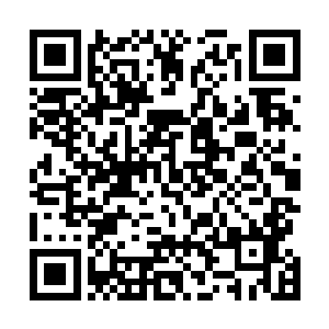 反倒是听闻这一席话的四大古魔皆是感到了一丝不可思议二维码生成