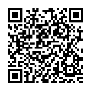 反倒是正值壮年的陈智被人击杀了……这几乎等于是扼杀陈家二维码生成