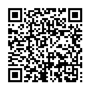 反倒是此刻深坑中出现了一幕令人不寒而栗的场面二维码生成