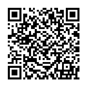反倒是那个叫约尔的小男生替他回答了不少问题二维码生成