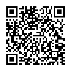 反正储物袋里宋辰砂送给自己的一百块下品灵石还没有动二维码生成