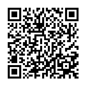 反正我这退休的老头子平时也没什么消遣――一个小时审出来二维码生成