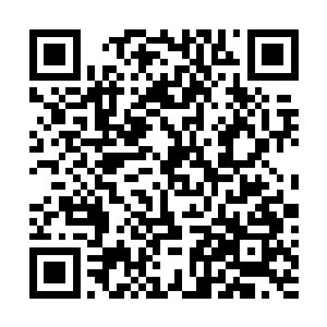 反正明天上午才发钱到时候让他们打理好了再回去就成了二维码生成