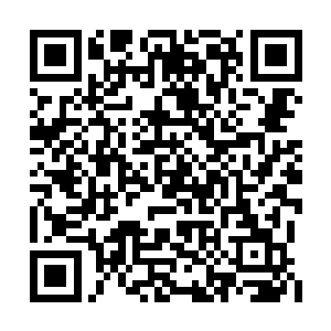 反正李蔓因为学校演出事宜也被学生会给叫走了二维码生成