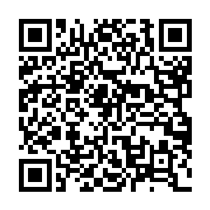 反正那个魂域的仙在错愕之后还是极为舒爽的――被尊重二维码生成