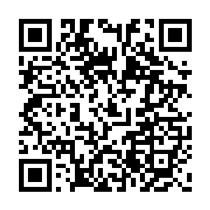 反而叫她在谭曜面前说不起硬话――不管怎么说二维码生成