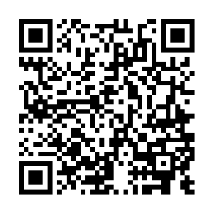 反而开始控制住真气按照小无相功的法门运转起来二维码生成