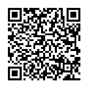 反而惹到了港城霍家……港城的霍爵士不会替宝镜作假证二维码生成