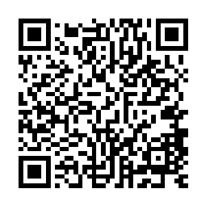 反而是全心全意的研究起兽皮经卷上记录的另外一种恐怖的武学二维码生成