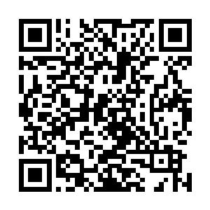反而是叶卡琳娜从看见斯卡娅出来浮夸的演技就定住了表情二维码生成