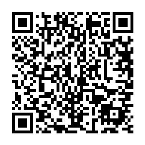 反而是有着一层在密集仙木之上弄出来的仿佛钢盔一般的防御措施二维码生成