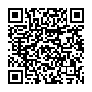 反而最后演变成了大夏的人主动找南方的修士挑战二维码生成