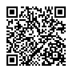 发展自己人啊……刚才你家师姐可是在苦劝我手下留情呢二维码生成