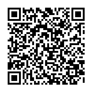 发现了一种更为便捷的修炼方式……让神葬修罗的数量得到了大发展的同时二维码生成