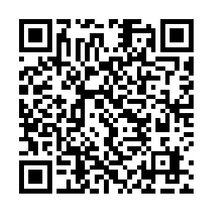 发现天罗宗的人根本就没有提前将他们的宝藏据为己有二维码生成