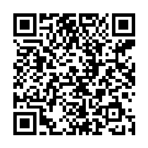 发现天鹰王国的皇宫在整体上依然还保持和从前的那般摸样二维码生成
