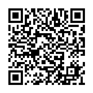 发现掌握的信息远不足以推衍出那混沌圣焱去向二维码生成
