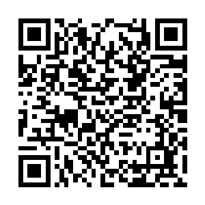 发现渗出来的血已经把他的里衣和伤口黏在了一起二维码生成