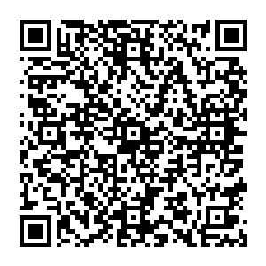 发现自己不知不觉掉到张铁语言陷阱中的张铁的老爸恼羞成怒之下又给张铁的脑袋上来了几下二维码生成