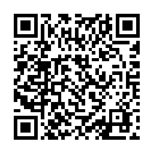 发现身体已经浮肿惨白得如同死亡了数日的尸体一般二维码生成
