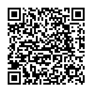 发现这个小姑娘在二十年前的那个我面前是刻意的压制住了自己的性格的二维码生成