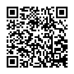 发生在大门口处的巨响声惊动了正在大门附近忙碌的弟子二维码生成