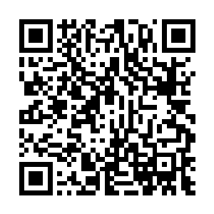 变异剑鱼那傲视同阶的坚硬剑型上颌根本没有任何作用二维码生成