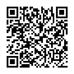 古丽莎一直用温柔的眼睛和掌心在他脸上悄悄转悠二维码生成