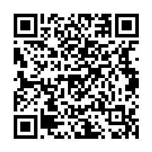 古怪的举动让两界所有的存在都暂时忘记了自己的处境二维码生成