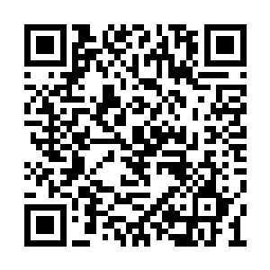 古玉仙王和小九他娘的战斗也是开始出现了变化二维码生成