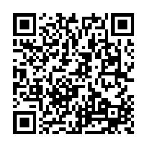 另一位则是她在回去的路上无意间出手救了的人二维码生成