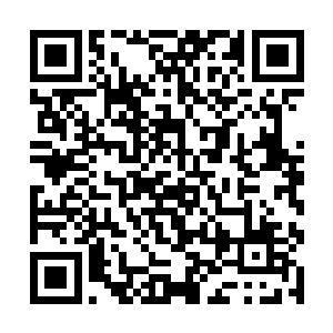 另一方面则是调整档期之后的宣传没有达到预期目标二维码生成