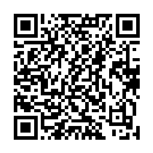 另一边梦魇的指挥正在对在机场搜捕的卫队成员下达命令二维码生成