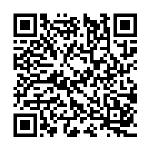 另外两个准尊者也是在同一时间发动了自己的攻击二维码生成