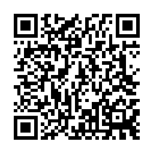 另外九大家族的权势人物全部齐聚在一起商讨着什么二维码生成