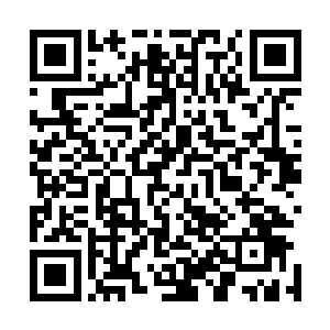 另外我想请你做我们七色彩虹钢笔在撒丁尼亚与法国的代理二维码生成