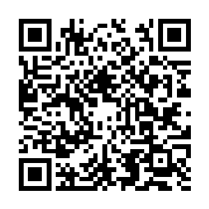 另外还让大家整理了这几年的资料和实验成果……二维码生成