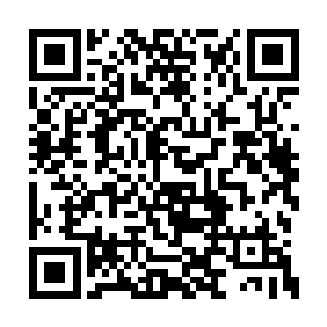 只不过他不确定茅山这次来的是什么级别的人物二维码生成